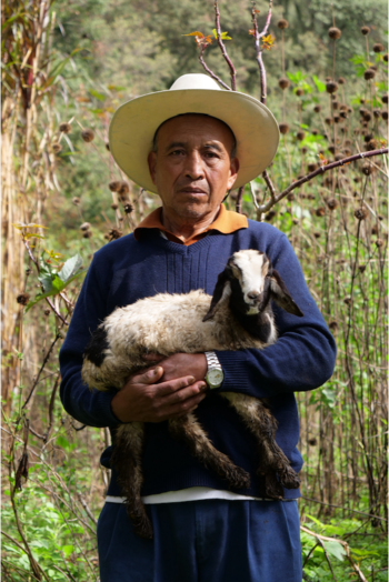 Ein Viehzüchter hält eine Ziege auf dem Arm.