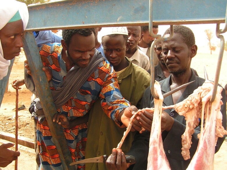 Ein Mann untersucht ein Stück Fleisch, wobei ihm eine Gruppe zusieht. (Copyright GIZ)