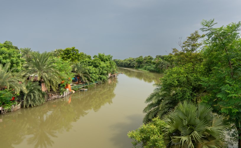Ein Fluss mit einem Palmenwald am Ufer.