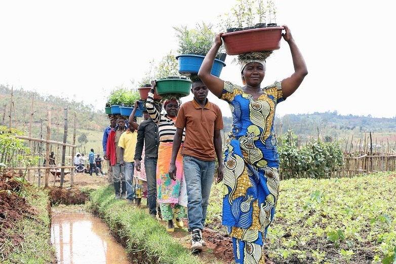 Bewohner*innen lokaler Gemeinschaften laufen auf einem Feld in der Provinz Süd-Kivu hintereinander her und tragen auf ihrem Kopf in Plastikbehältern Setzlinge zur Aufforstung. Copyright: GIZ / Frank Ribas