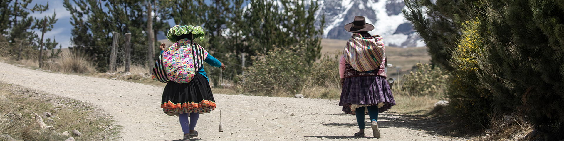 Frauen spinnen Alpakafasern auf dem Heimweg.