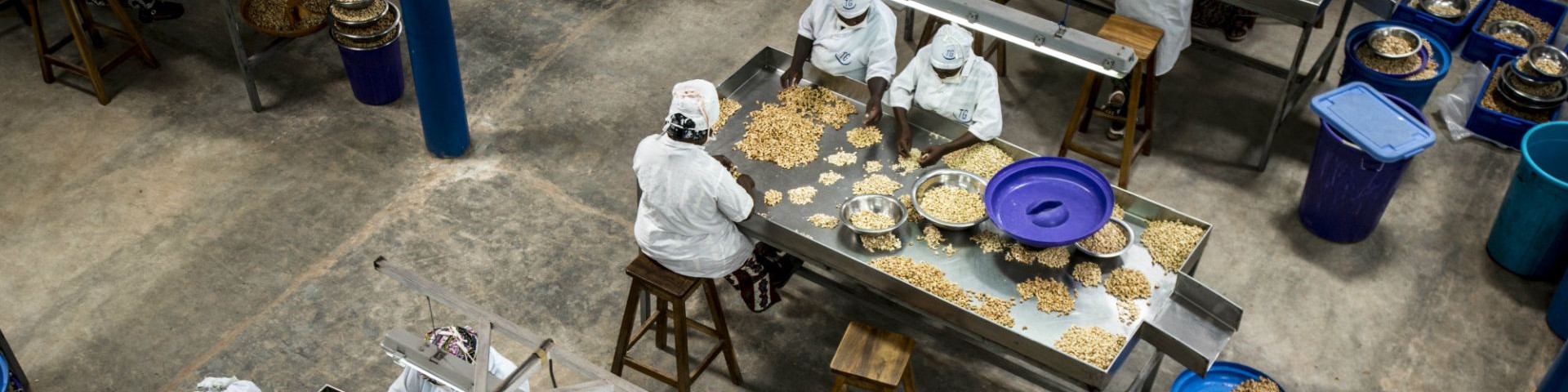 Menschen arbeiten in einer Cashewfabrik.