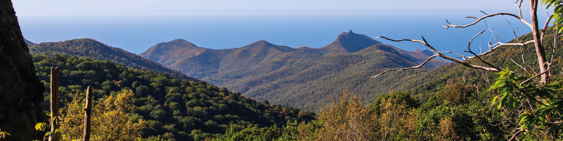 Das Schutzgebiet der Monts de l’Edough in Algerien, eine bergige grüne Landschaft am Meer.