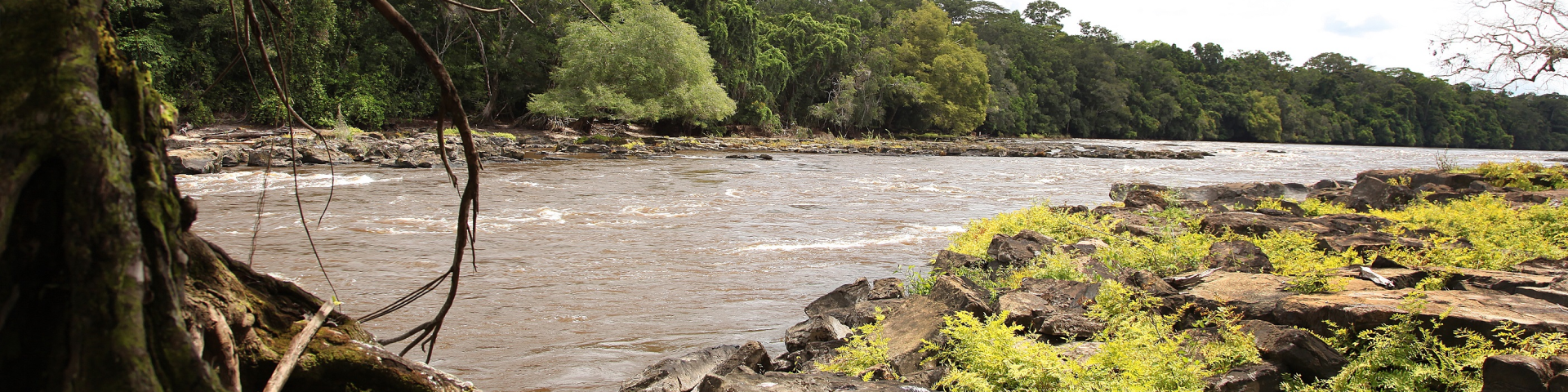 Ein Fluss führt durch den Lomami-Nationalpark in der Provinz Maniema. Copyright: GIZ / Frank Ribas