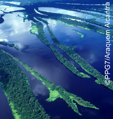 Brasilien. Der amazonische Regenwald dehnt sich auf einer Fläche so groß wie die EU aus. © PPG7/Araquem Alcantra