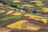 Felder im Bundesstaat Himachal Pradesh. © GIZ
