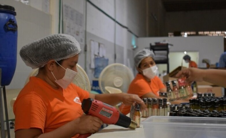 Arbeiterinnen in der Fabrik Habanero