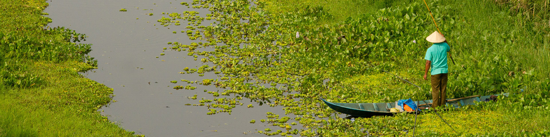In a swamp, a man stands in a canoe holding a fishing rod.