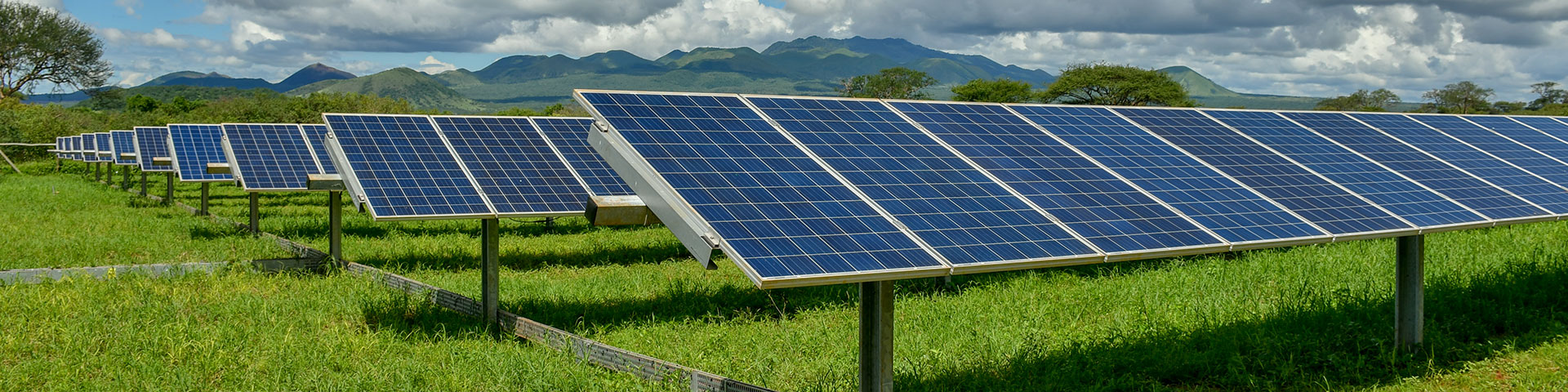 Solar panels on a green field
