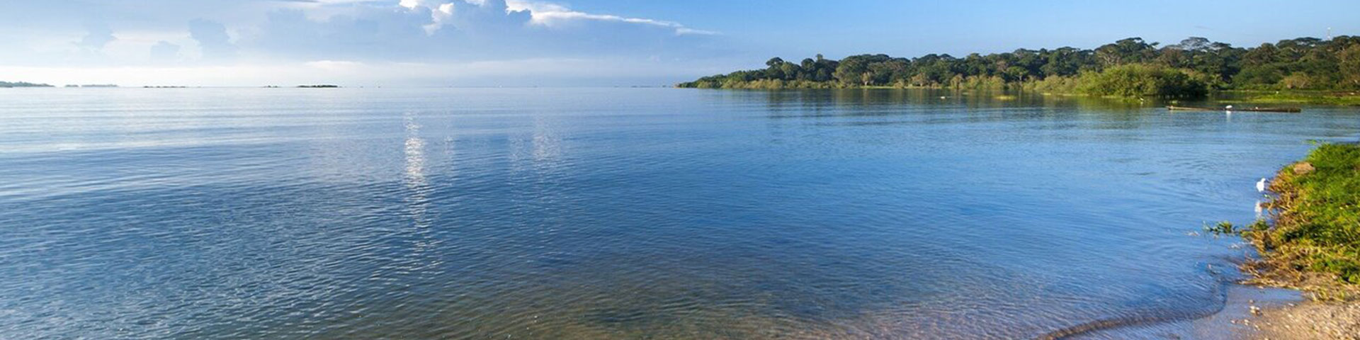 The wooded shore of Lake Victoria.