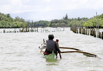 Man sitting in a small fishing boat, paddling on the coastal wetlands conservation area in Kabankalan. (Negros Occidental)