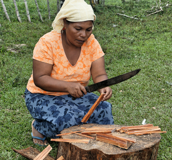 Honduras. A woman from the Buena Vista agricultural and forest cooperative makes pinewood chip for the local market. © GIZ
