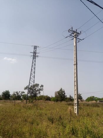 Des poteaux électriques du réseau public d’électricité situés au cœur d’une région rurale verdoyante.