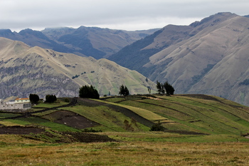 Un herbazal húmedo en el sector páramo del Ecuador. Fotografía: GIZ/Loebenstein