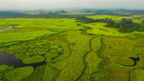 giz-2023-image-binh-dang-wetland-vietnam