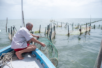 A fisherman lays out a fish trap.