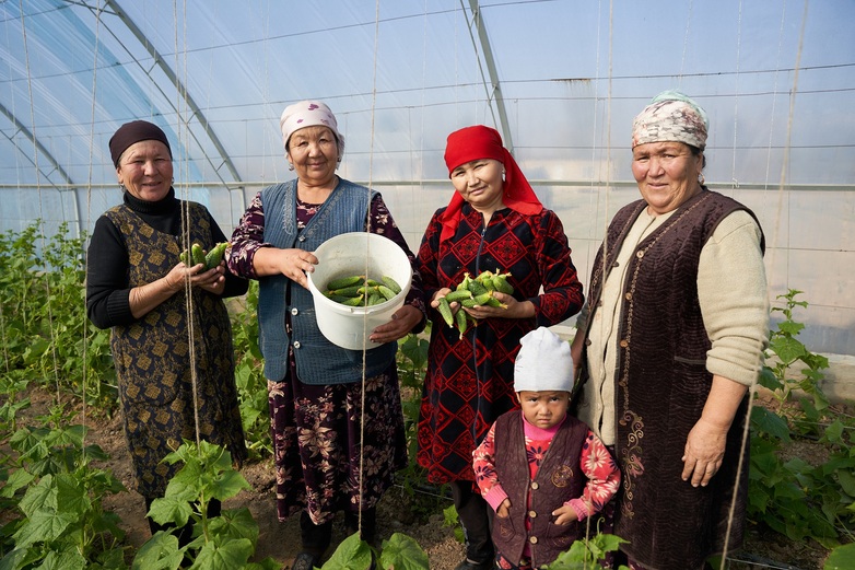 Members of women’s cooperative farm green vegetables in a greenhouse in Jalal-Abad oblast, Kyrgyzstan.