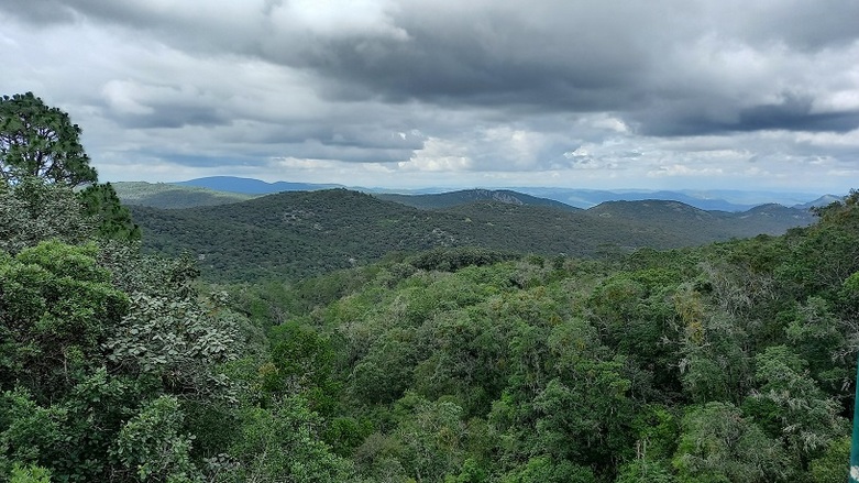 Vistas de la zona verde de senderismo Cañón del Chivo en México. Derechos de autor: GIZ México / Edgar Camacho