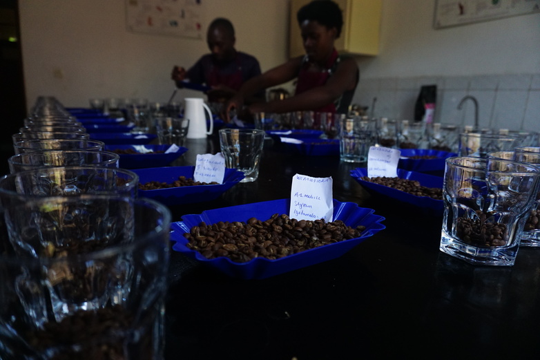 Two people filling bowls and glasses with coffee beans.