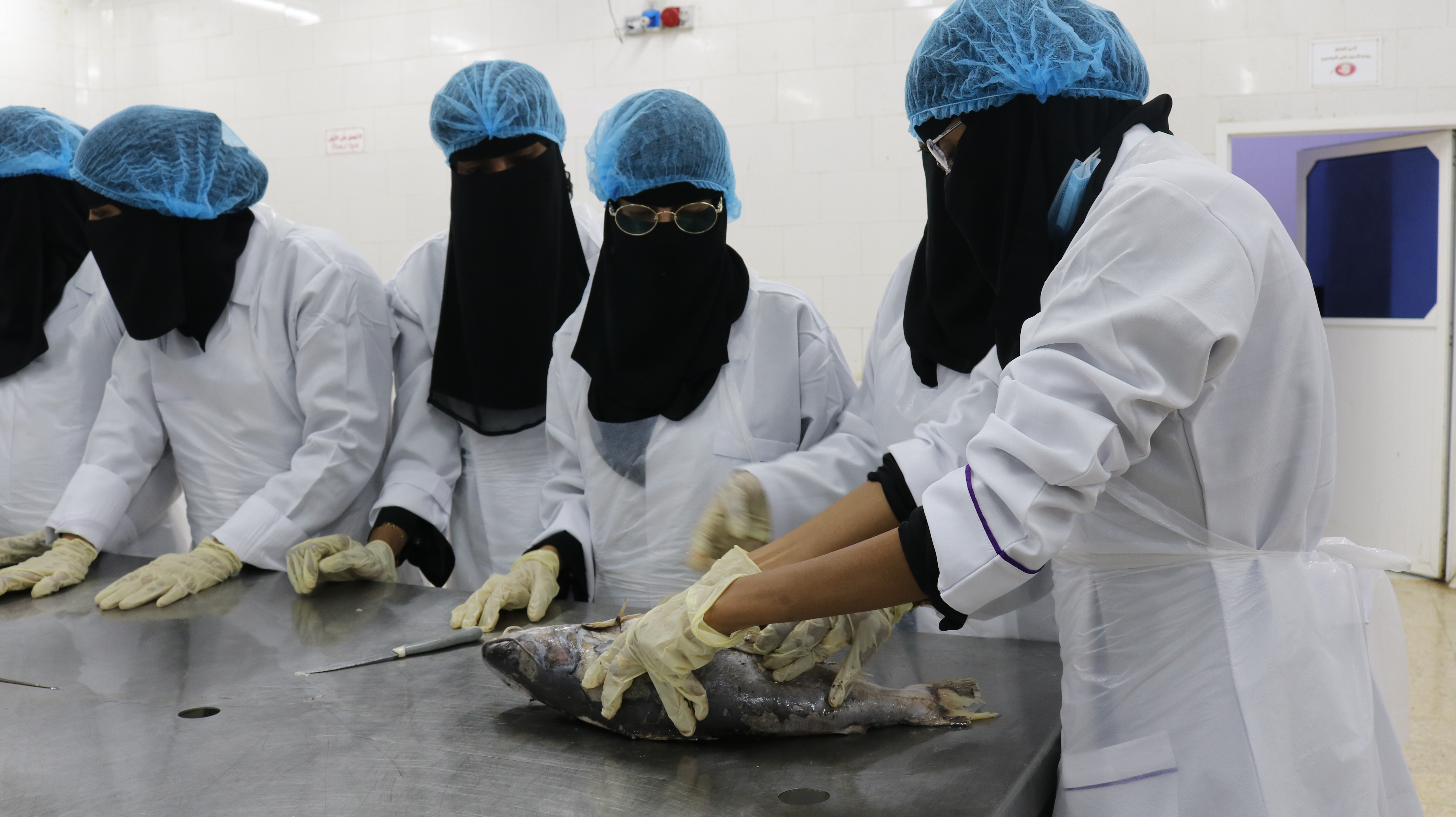 Women in smocks practise processing a fish together.