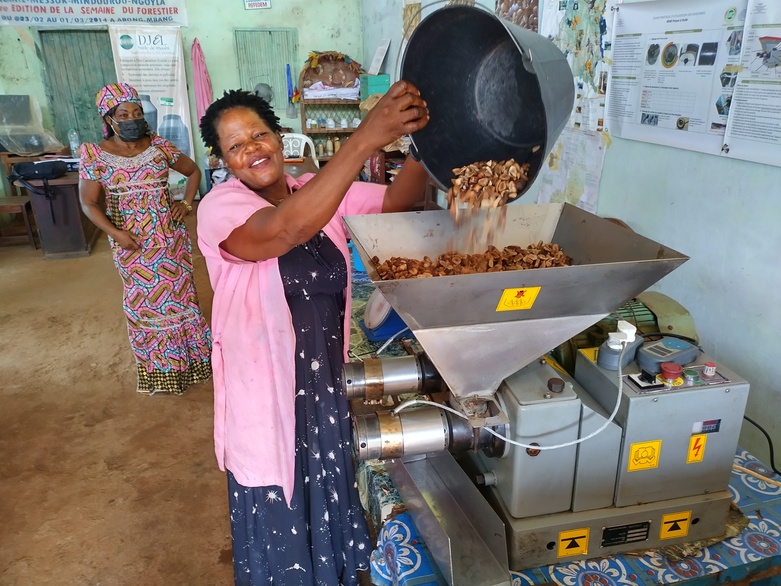 Femme versant des noix dans une machine de transformation de produits forestiers non ligneux. Droits d’auteur : GIZ / Uli Caspary