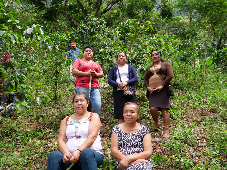 Cinco mujeres posan de pie y sentadas en un bosque.