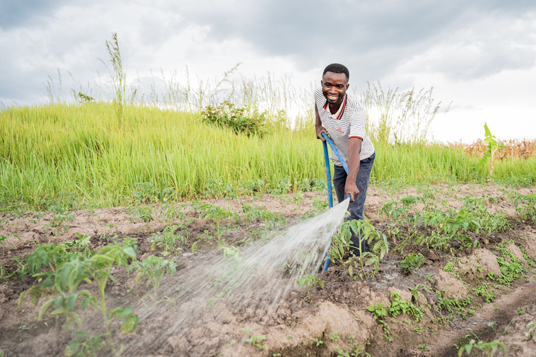 A smallholder farmer irrigates a field.