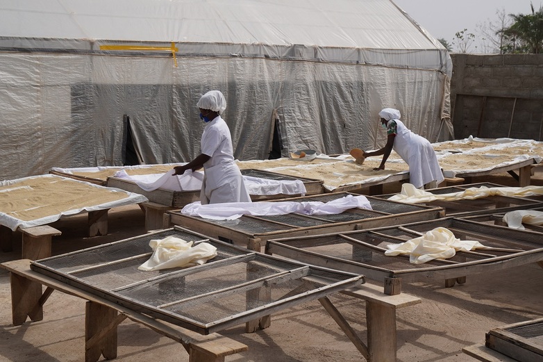 Employees dry white fonio in a small-scale enterprise in Niamtougou.