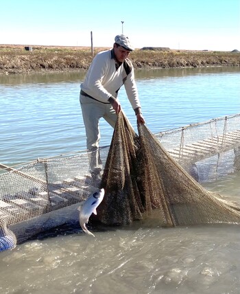 A fisherman holds a fishing net.