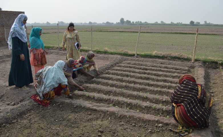 Women farmers are working together in a field.