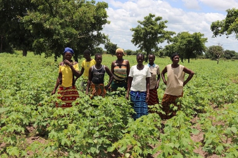 A group of women standing amidst lush green plants in a field.