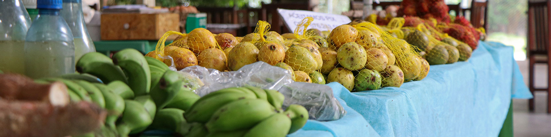 Diverse fruits are presented on a long table.