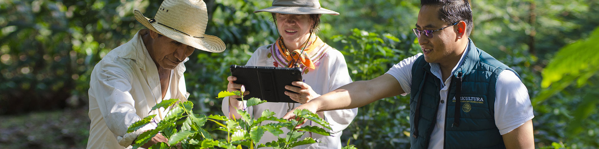 Una mujer sostiene una tableta en sus manos y observa una planta. Dos hombres, a su derecha y a su izquierda, dan una explicación sobre la planta.