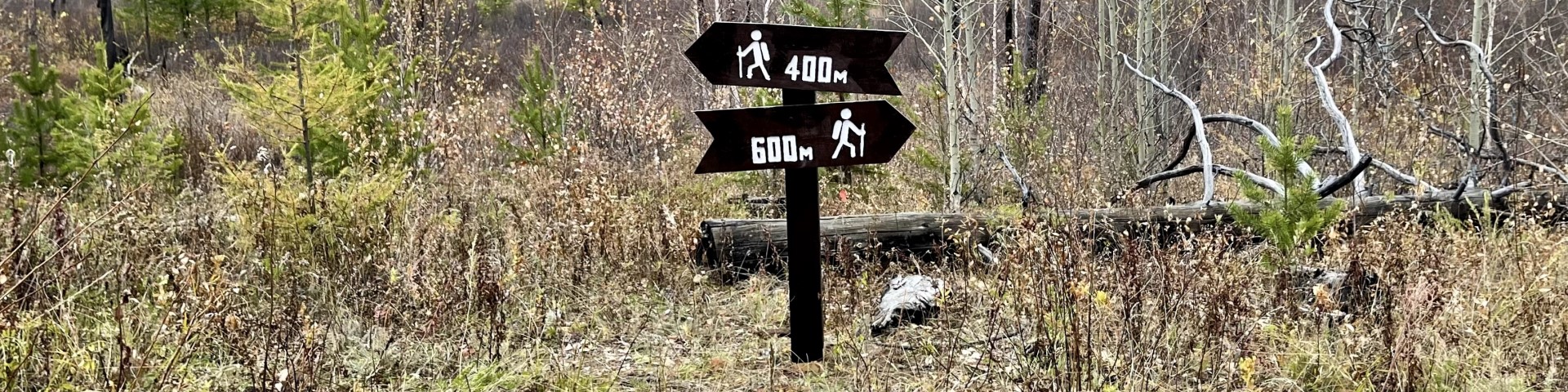 A signpost provides information about two hiking routes to the left and right. Together with the protected area administration, hiking routes are being developed in the Khan Khentii protected area to promote environmental education for visitors.