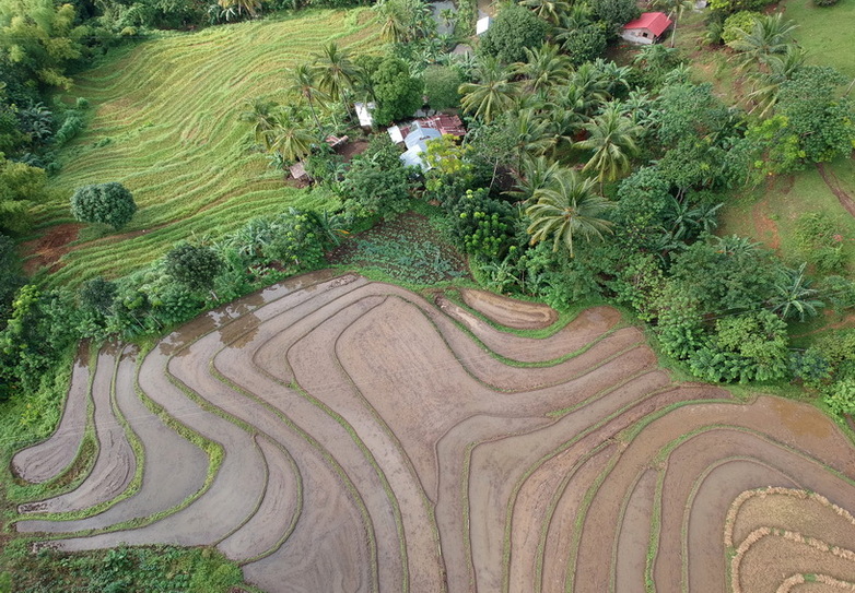 View from the air of rice terraces in the barangay of Orong (Negros Occidental)
