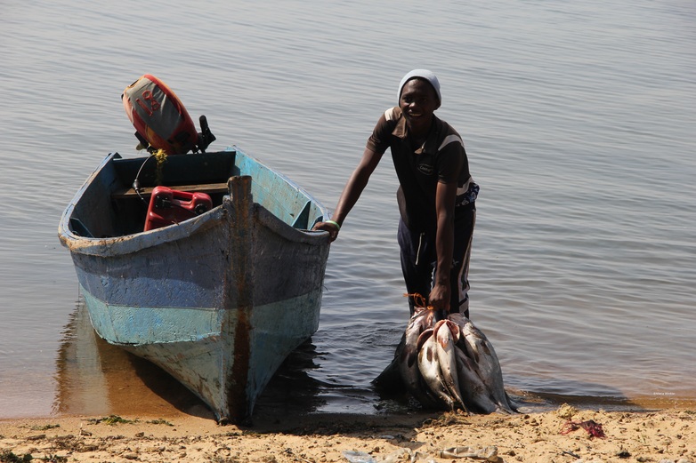 A fisherman landing his boat on the beach with fish in his hand.