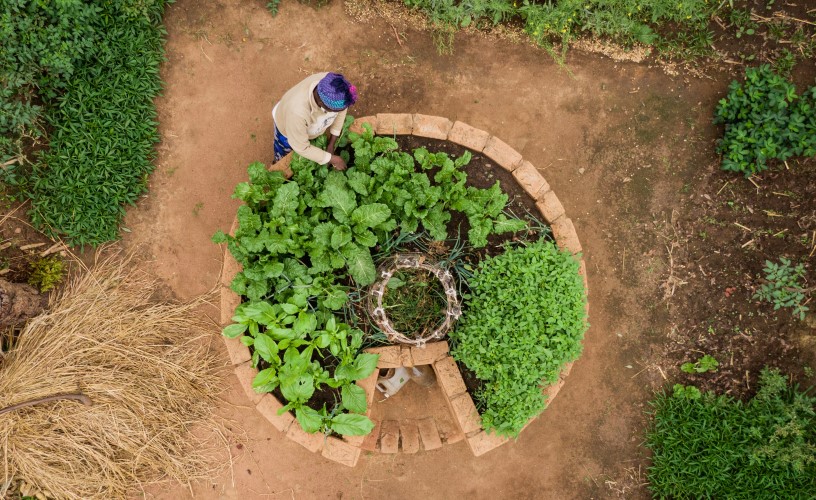 View from above of a person working on their home garden. 