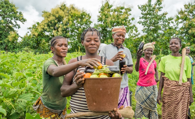 Un groupe de femmes se tient dans un champ et montre sa récolte de légumes.