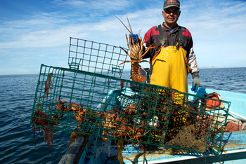 Mexico. Lobster fisherman  © GIZ