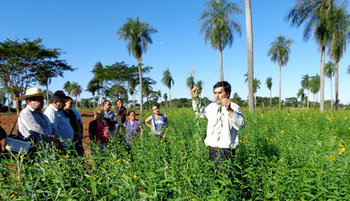 Paraguay. Soil conservation farming. © GIZ