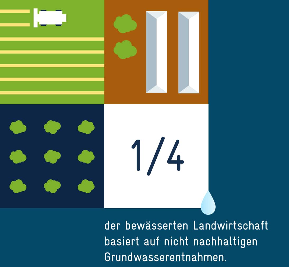 Ein Viertel der bewässerten Landwirtschaft basiert auf nicht nachhaltigen Grundwasserentnahmen.