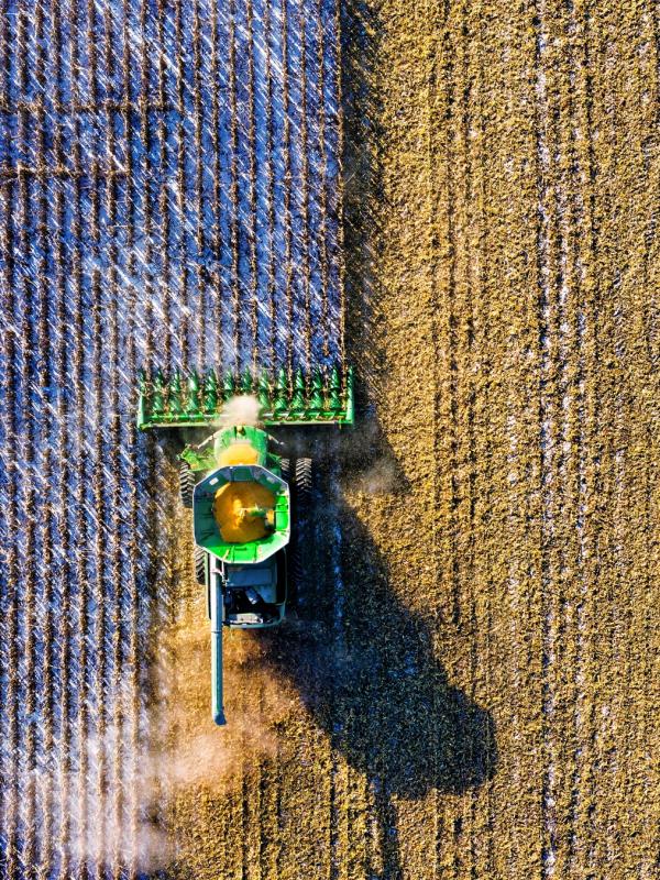 Drohnenaufnahme eines grünen Mähdreschers, der ein goldbraunes Feld aberntet.