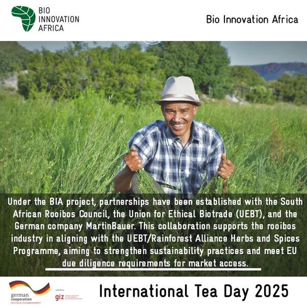 Picture of a man in a field