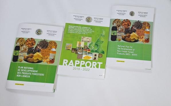 Report der letzten 3 Jahre nebeneinander