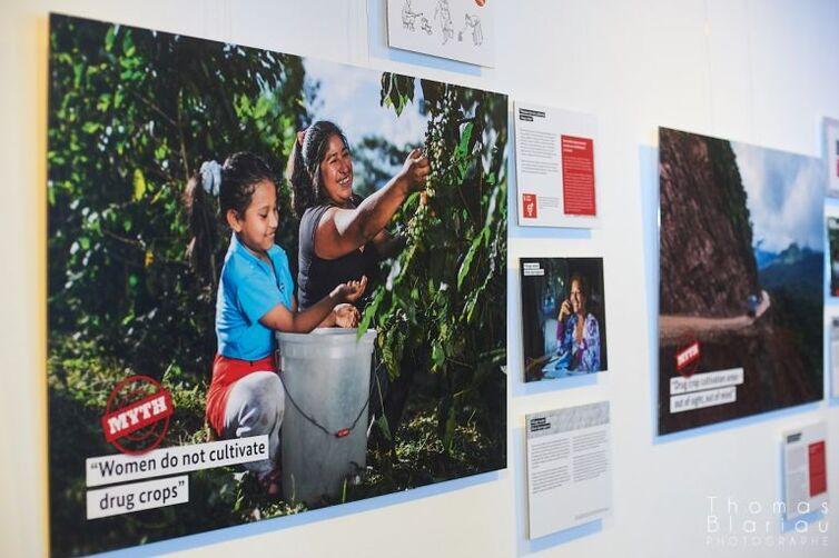 Bild von einem Mädchen und einer Frau die etwas pflücken