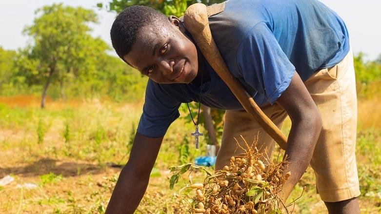 giz-IMAGE-2022-bauer-ernte-erdnuessen