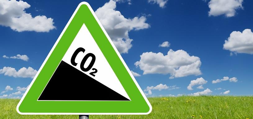 Traffic sign C02 in front of flower meadow.