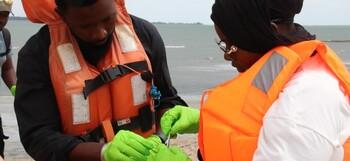 Wissenschaftler nehmen in Gambia Proben zur Untersuchung auf Vogelgrippe.