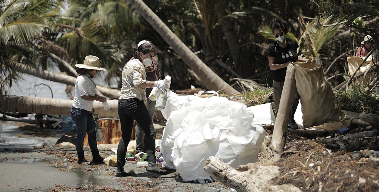 A group of people collecting rubbish on a beach