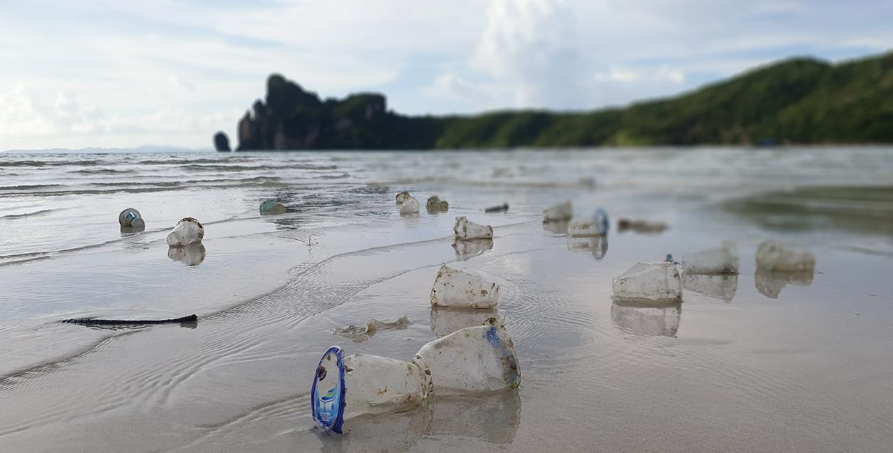 Plastic cups pollute a beach